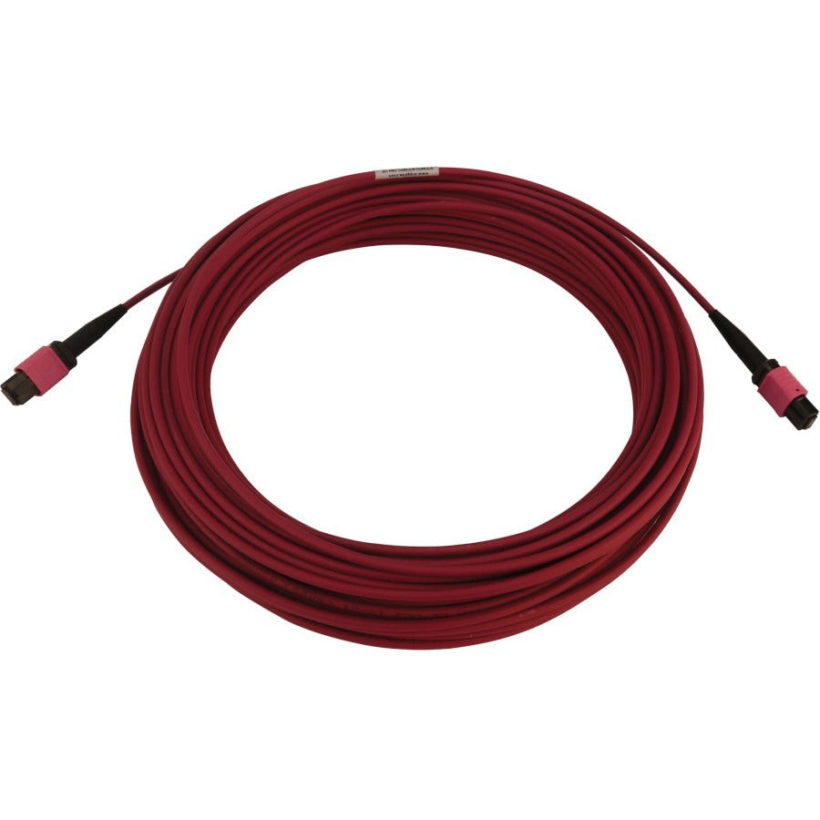 Câble réseau à fibre optique Tripp Lite par Eaton N845B-20M-12-MG N845B-20M-12-MG