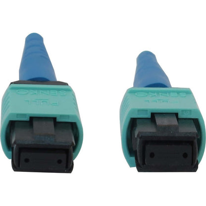 Tripp Lite by Eaton N846B-20M-24-P Fiber Optic Network Cable N846B-20M-24-P