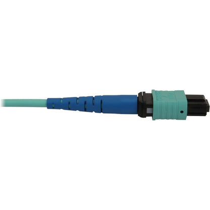 Tripp Lite by Eaton N846B-20M-24-P Fiber Optic Network Cable N846B-20M-24-P