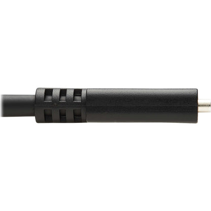 Câble d'extension USB-C Tripp Lite par Eaton U421-20N-G2, M/F, noir, 20 po (0,5 m) U421-20N-G2