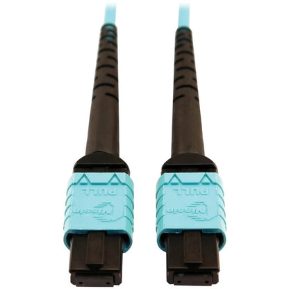 Câble à fibre optique multimode 50/125 OM4 400G Tripp Lite par Eaton N846D-10M-24AAQ, turquoise, 10 m N846D-10M-24AAQ