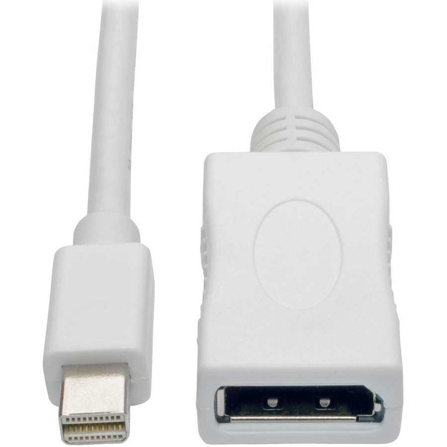 Câble audio/vidéo DisplayPort/Mini DisplayPort P139-010-DP-V2B de Tripp Lite par Eaton Keyspan P139-010-DP-V2B