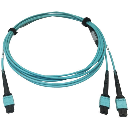Câble à fibre optique multimode 50/125 OM4 Tripp Lite par Eaton N846D-03M-24BAQ 400G, turquoise, 3 m N846D-03M-24BAQ