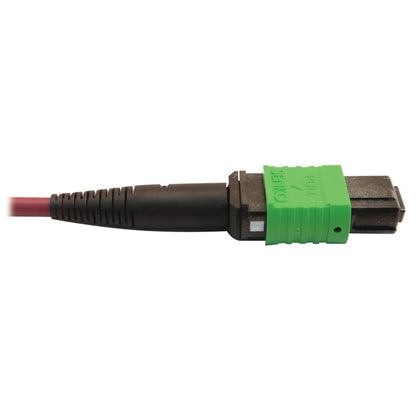 Câble à fibre optique multimode 400G 50/125 OM4 Tripp Lite par Eaton N846D-03M-16DMG, magenta, 3 m N846D-03M-16DMG