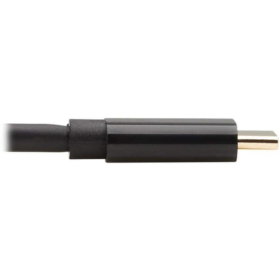Câble adaptateur bidirectionnel USB-C vers DisplayPort Tripp Lite par Eaton U444-010-DP-BD, M/M, 10 pi U444-010-DP-BD
