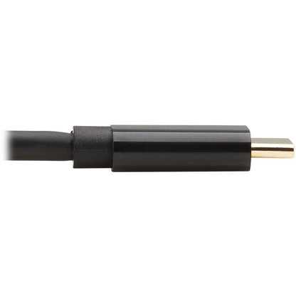 Câble adaptateur bidirectionnel USB-C vers DisplayPort Tripp Lite par Eaton U444-010-DP-BD, M/M, 10 pi U444-010-DP-BD