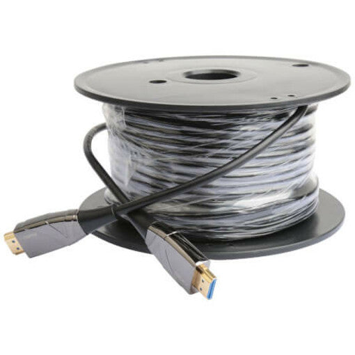 Câble audio/vidéo à fibre optique Tripp Lite par Eaton P568-60M-FBR P568-60M-FBR