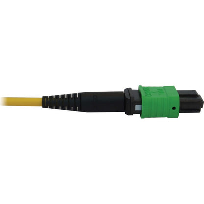 Câble réseau principal à fibre optique Tripp Lite par Eaton N392B-23M-3X8AP N392B-23M-3X8AP