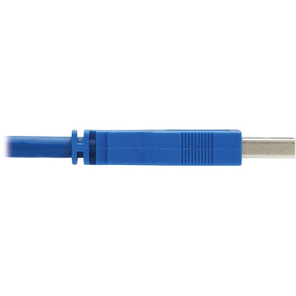 Kit de câbles Tripp Lite par Eaton P785-DPKIT10