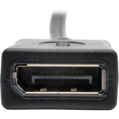 Câble audio/vidéo Mini DisplayPort/DisplayPort Tripp Lite par Eaton P169-001-KPA-BK P169-001-KPA-BK
