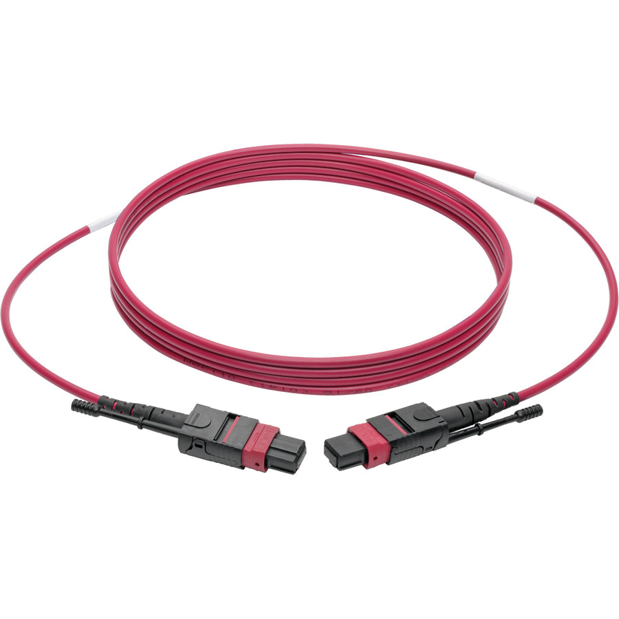 Câble de raccordement multimode MTP/MPO Tripp Lite par Eaton N845-05M-12-MG, magenta, 5 m N845-05M-12-MG