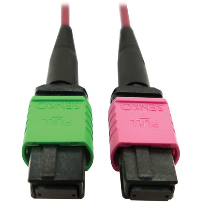 Câble réseau à fibre optique Tripp Lite par Eaton N846D-05M-16BMG N846D-05M-16BMG