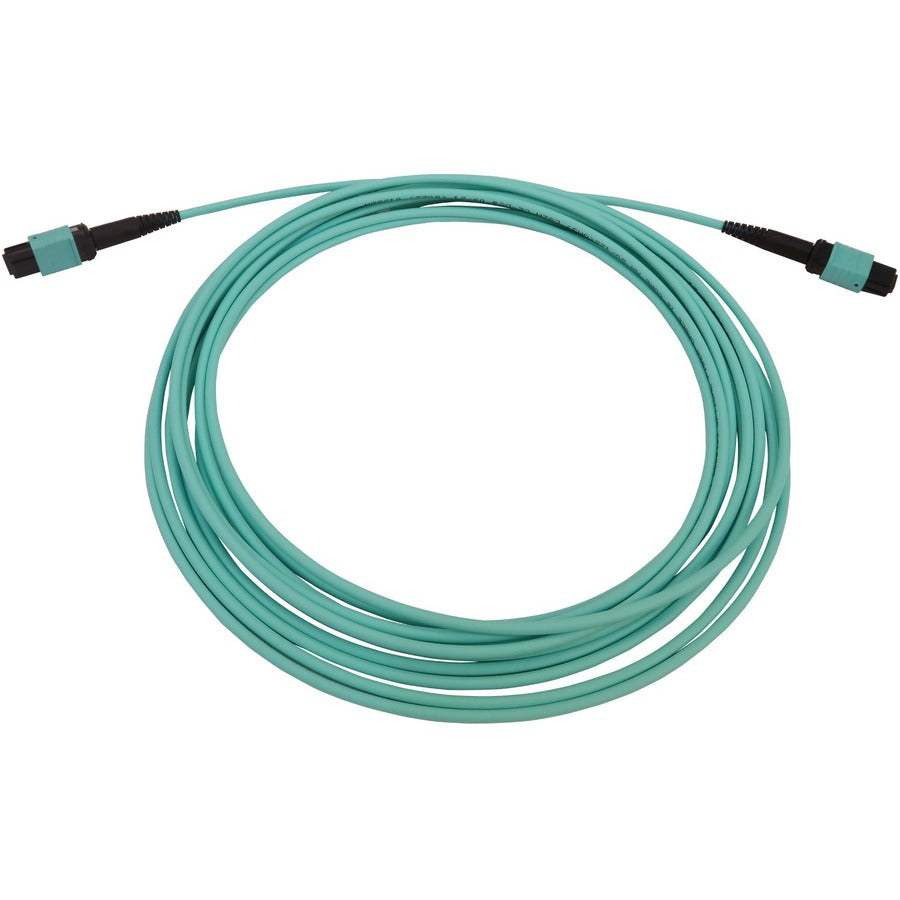 Câble réseau à fibre optique Tripp Lite par Eaton N844B-05M-12-P N844B-05M-12-P