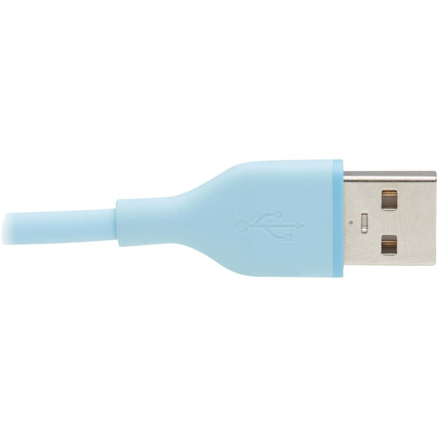Câble de transfert de données USB/USB-C Safe-IT Tripp Lite par Eaton U038AB-003-S-LB