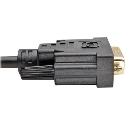 Câble vidéo DVI-D Tripp Lite par Eaton P561-020 P561-020