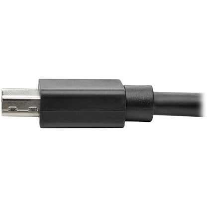Câble d'extension Mini DisplayPort (M/F) Tripp Lite par Eaton P585-003, 0,9 m P585-003