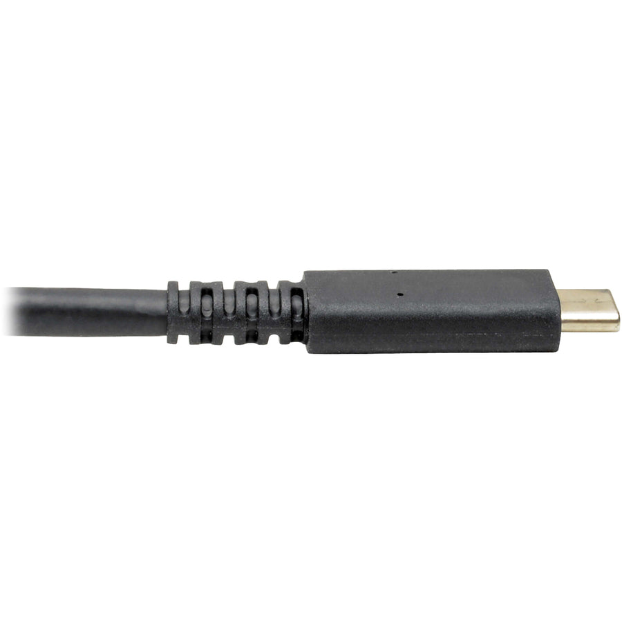 Adaptateur audio/vidéo DisplayPort/Thunderbolt MTB3-002-DP de Tripp Lite par Eaton MTB3-002-DP