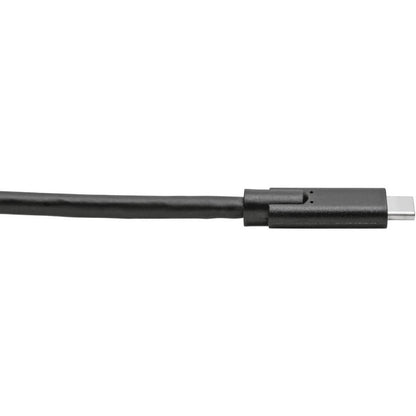 Tripp Lite by Eaton U420-010 USB Type-C to USB Type-C Cable, M/M, 10 ft. U420-010