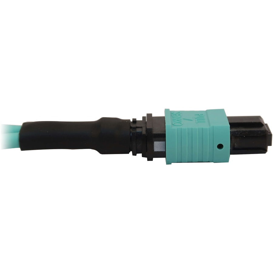 Boucle de retour à fibre optique Tripp Lite par Eaton N844B-LOOP-12F N844B-LOOP-12F