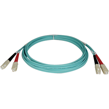 Câble de raccordement en fibre optique Tripp Lite 10 Gb Aqua Duplex Multimode 50/125 N806-15M