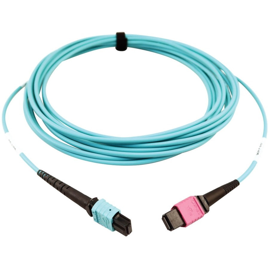 Câble à fibre optique multimode 50/125 OM4 400G Tripp Lite par Eaton N846D-05M-24DAQ, turquoise, 5 m N846D-05M-24DAQ