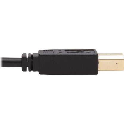 Tripp Lite by Eaton P784-006-U KVM Cable P784-006-U
