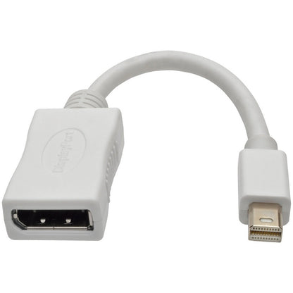 Câble vidéo A/V DisplayPort/Mini DisplayPort de Tripp Lite par Eaton P139-06N-DP-V2B