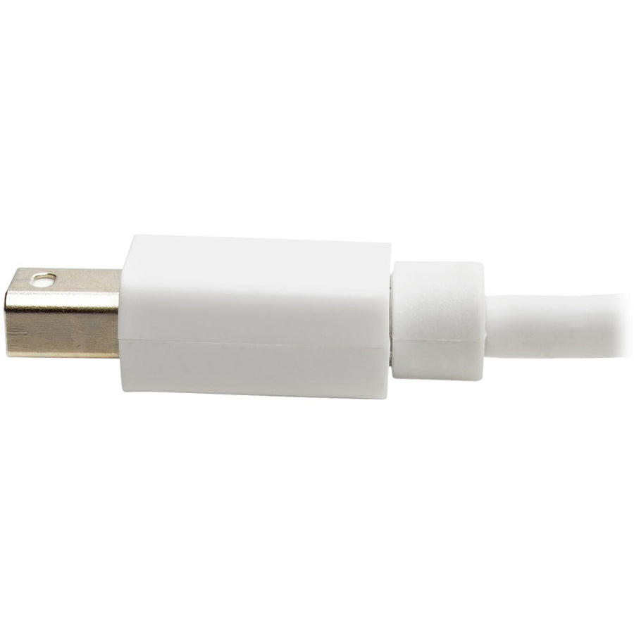 Câble vidéo A/V DisplayPort/Mini DisplayPort de Tripp Lite par Eaton P139-06N-DP-V2B