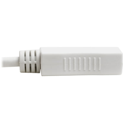 Câble vidéo A/V DisplayPort/Mini DisplayPort de Tripp Lite par Eaton P139-06N-DP-V2B