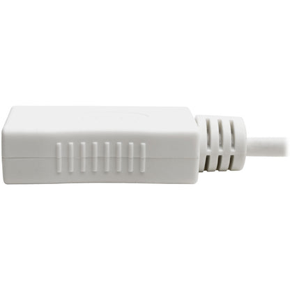 Câble vidéo A/V DisplayPort/Mini DisplayPort de Tripp Lite par Eaton P139-06N-DP-V2B