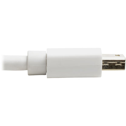Câble vidéo A/V DisplayPort/Mini DisplayPort de Tripp Lite par Eaton P139-06N-DP-V2B