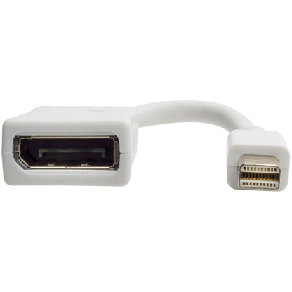 Câble vidéo A/V DisplayPort/Mini DisplayPort de Tripp Lite par Eaton P139-06N-DP-V2B