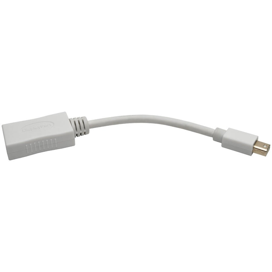 Câble vidéo A/V DisplayPort/Mini DisplayPort de Tripp Lite par Eaton P139-06N-DP-V2B