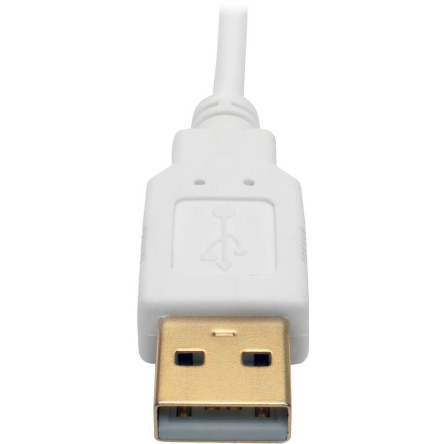 Convertisseur actif Mini DisplayPort vers DVI Dual-Link (M/F) Tripp Lite by Eaton P137-06N-DVI-DL, 6 pouces P137-06N-DVI-DL