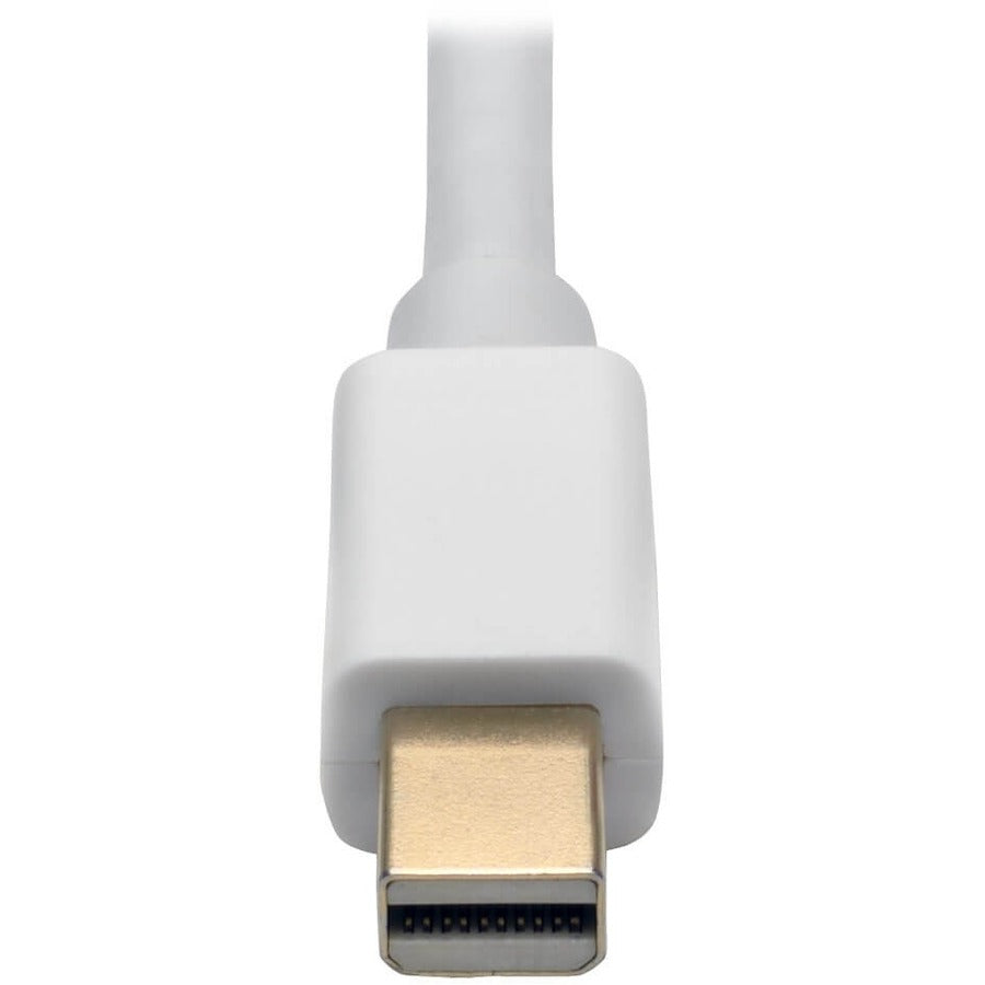 Convertisseur actif Mini DisplayPort vers DVI Dual-Link (M/F) Tripp Lite by Eaton P137-06N-DVI-DL, 6 pouces P137-06N-DVI-DL