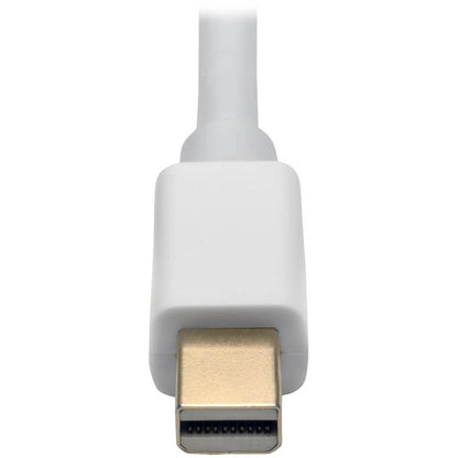 Convertisseur actif Mini DisplayPort vers DVI Dual-Link (M/F) Tripp Lite by Eaton P137-06N-DVI-DL, 6 pouces P137-06N-DVI-DL