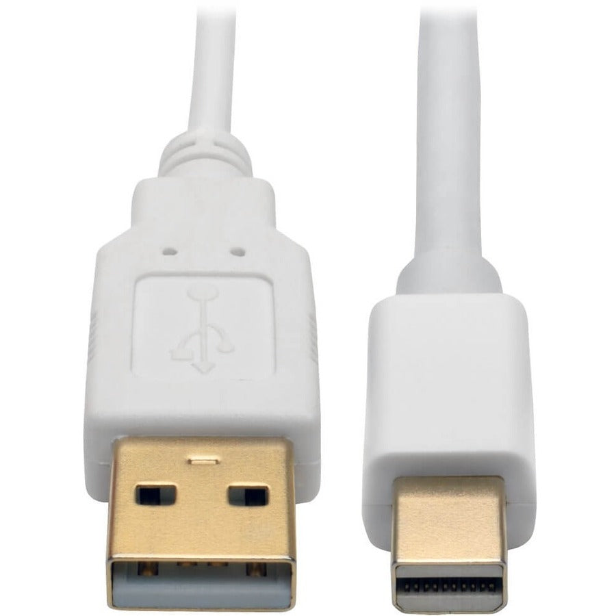 Convertisseur actif Mini DisplayPort vers DVI Dual-Link (M/F) Tripp Lite by Eaton P137-06N-DVI-DL, 6 pouces P137-06N-DVI-DL