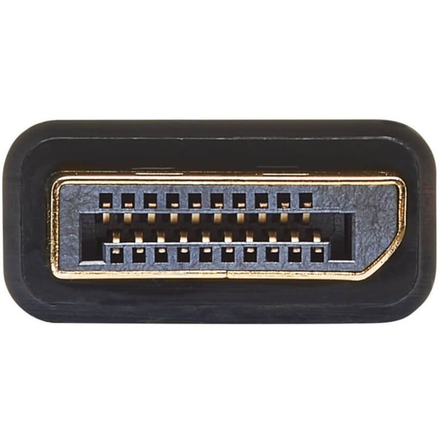 Câble vidéo DisplayPort/DVI Tripp Lite par Eaton PP134-06NDVIV2BP P134-06NDVIV2BP