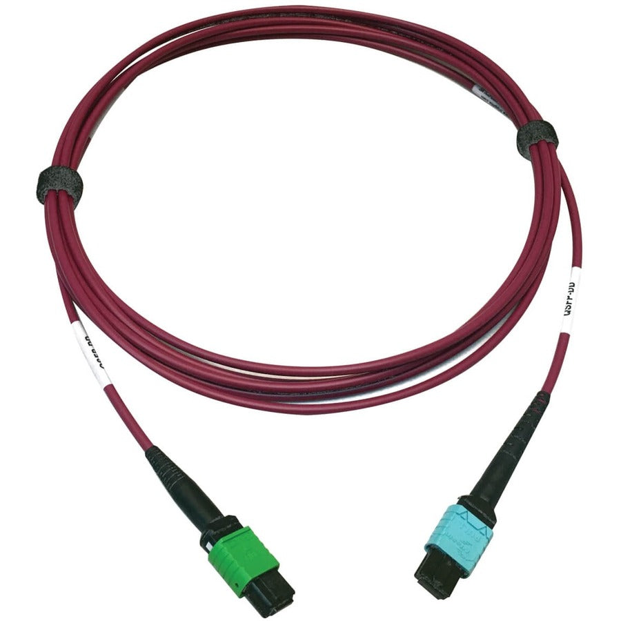 Câble à fibre optique multimode 400G 50/125 OM4 Tripp Lite par Eaton N846D-03M-16CMG, magenta, 3 m N846D-03M-16CMG
