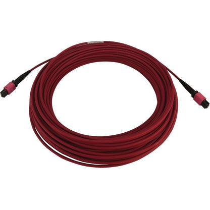 Câble réseau à fibre optique Tripp Lite par Eaton N845B-25M-12-MG N845B-25M-12-MG