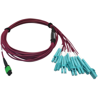 Câble à fibre optique multimode 50/125 OM4 Tripp Lite par Eaton N846D-03M-16EMG 400G, magenta, 3 m N846D-03M-16EMG