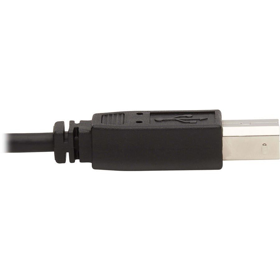 Câble KVM Tripp Lite par Eaton P784-006-DVU P784-006-DVU