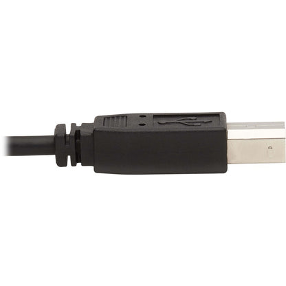 Câble KVM Tripp Lite par Eaton P784-006-DVU P784-006-DVU
