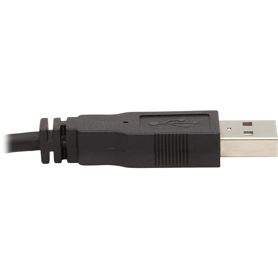 Câble KVM Tripp Lite par Eaton P784-006-DVU P784-006-DVU