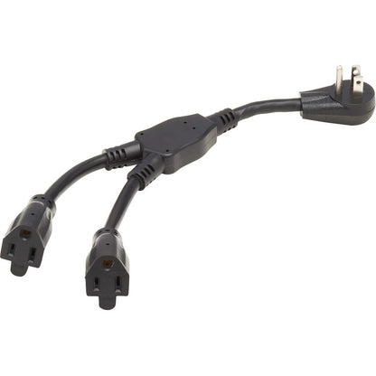 Rallonge d'alimentation Tripp Lite par Eaton P024-001-15D-2 P024-001-15D-2