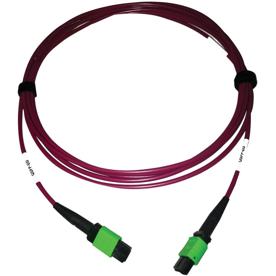 Câble à fibre optique multimode 50/125 OM4 Tripp Lite par Eaton N846D-03M-16AMG 400G, magenta, 3 m N846D-03M-16AMG