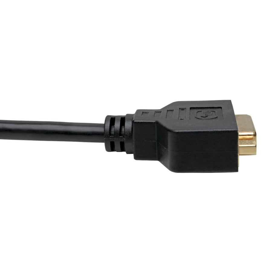 Adaptateur convertisseur vidéo DisplayPort vers DVI Eaton Tripp Lite Series, noir (M/F), 0,31 m (1 pi) P134-001-GC