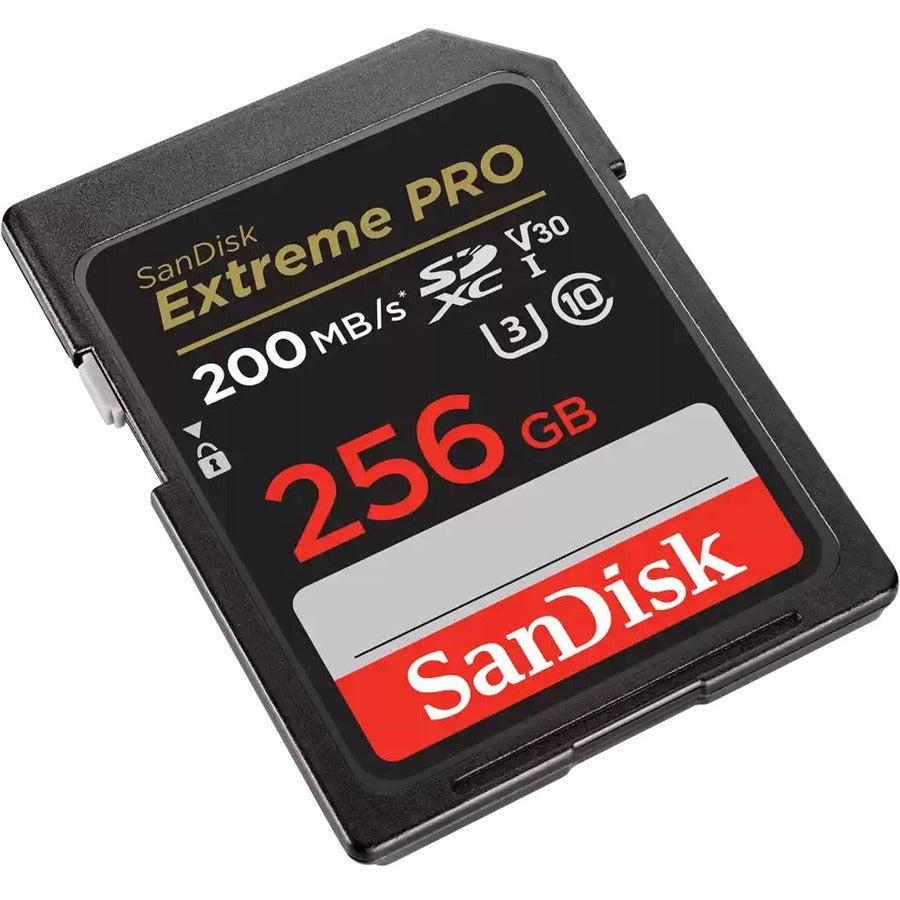 Carte mémoire SDXC SanDisk Extreme PRO 256 Go Classe 10/UHS-I (U3) V30 SDSDXXD-256G-GN4IN