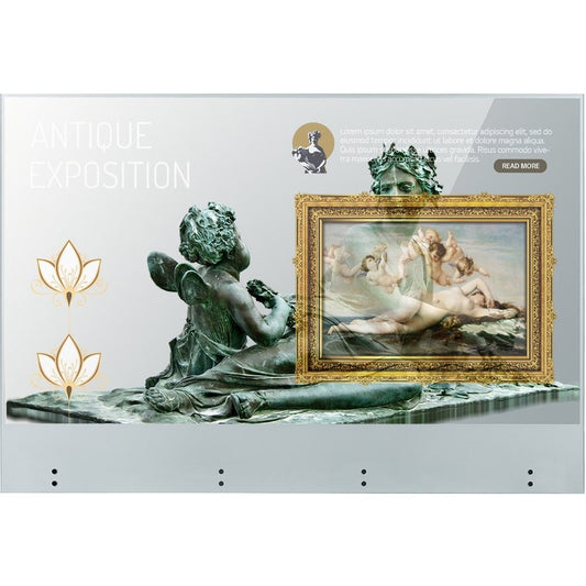 Écran tactile OLED transparent LG 55EW5TK-A