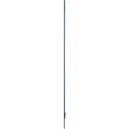 LG Transparent OLED Touch Signage 55EW5TK-A